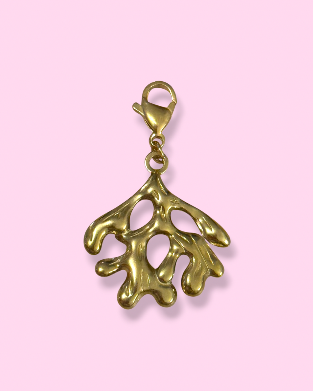CHARMS - CORAIL ￼
