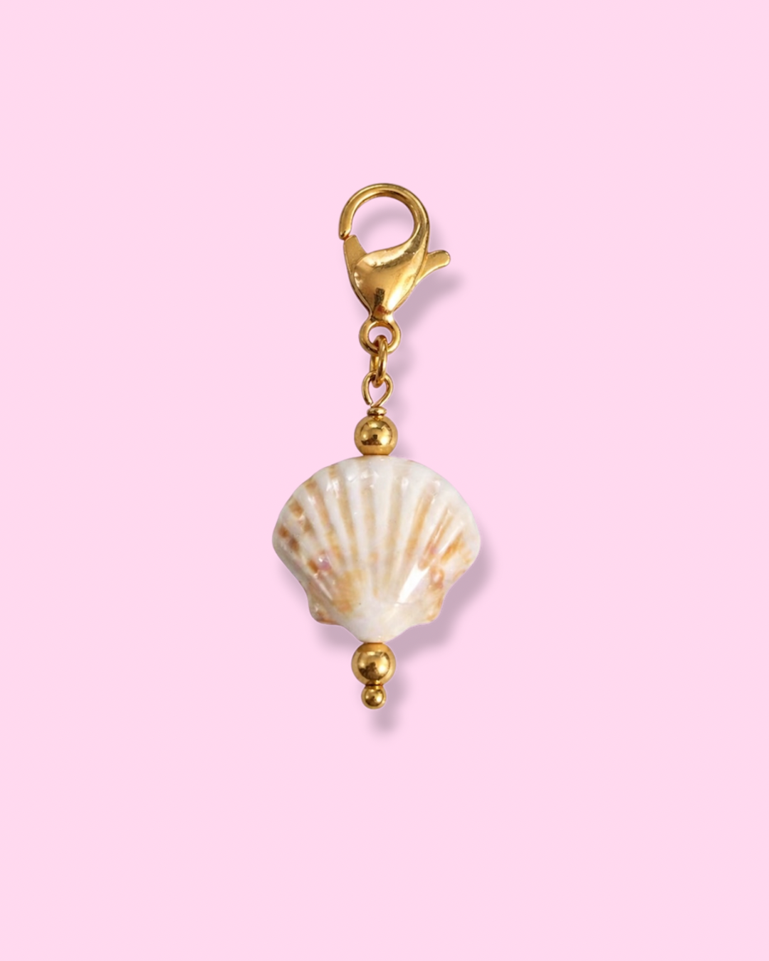 CHARMS - COQUILLAGE COLORÉ ÉVENTAIL